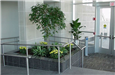 Hall of Justice - October 2001 - indoor planting