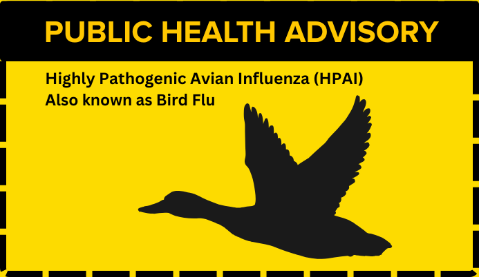 Public Health Advisory (693 x 402 px)