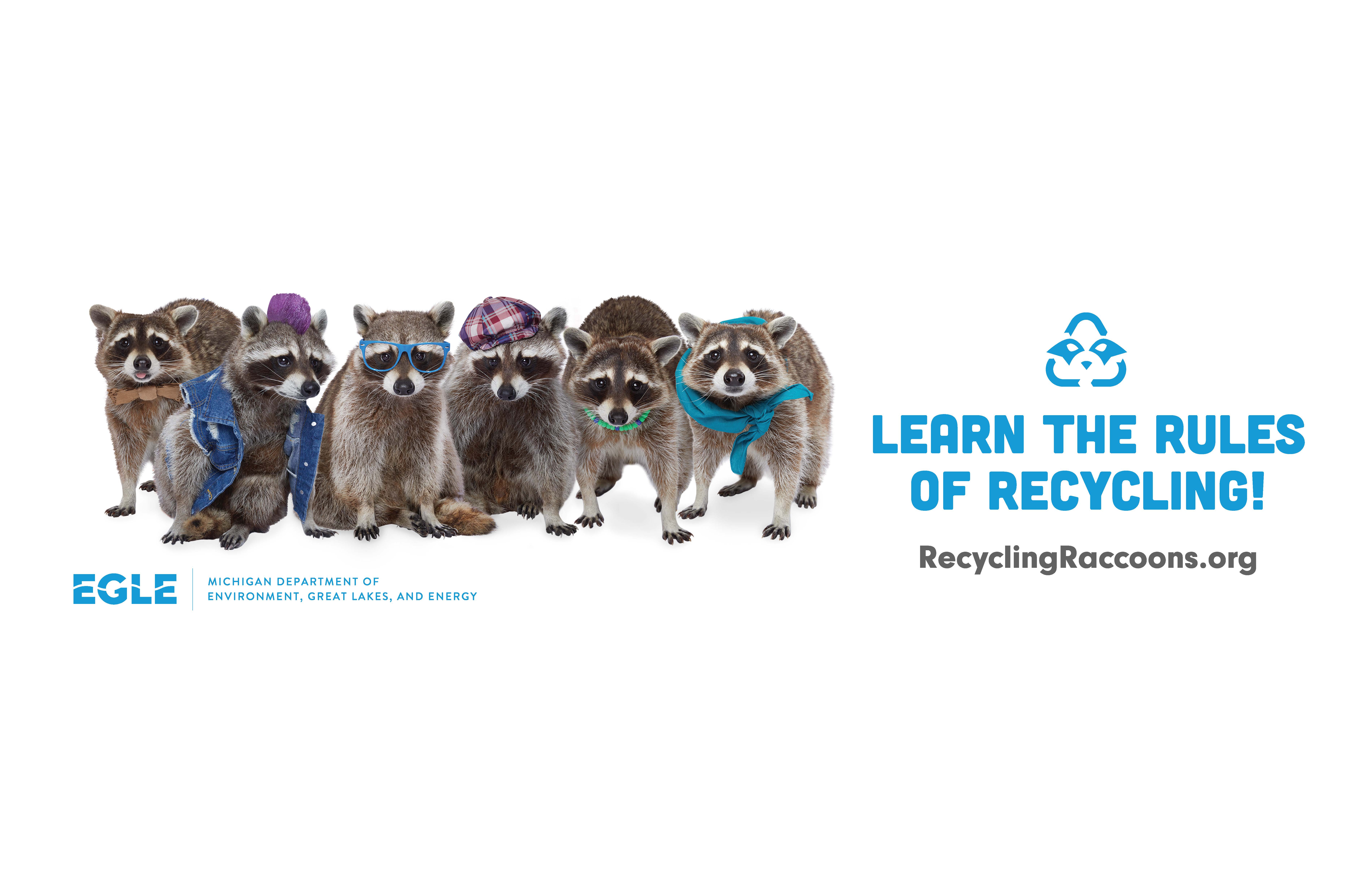 RecyclingRaccoonSquad-Poster-RGB